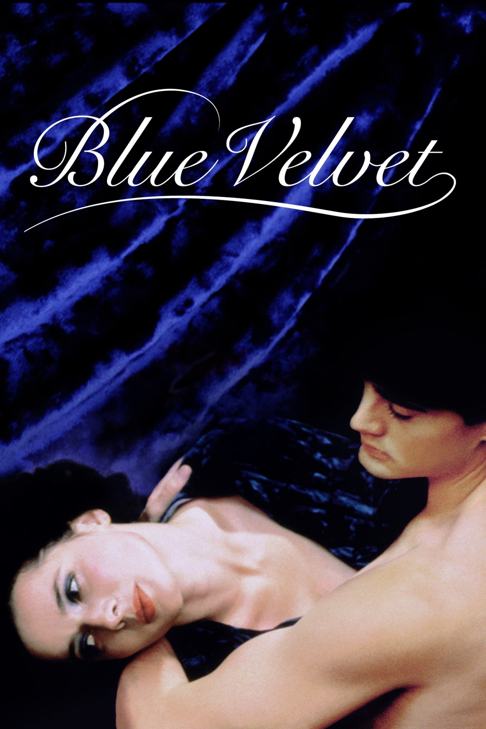 Blue Velvet.jpg