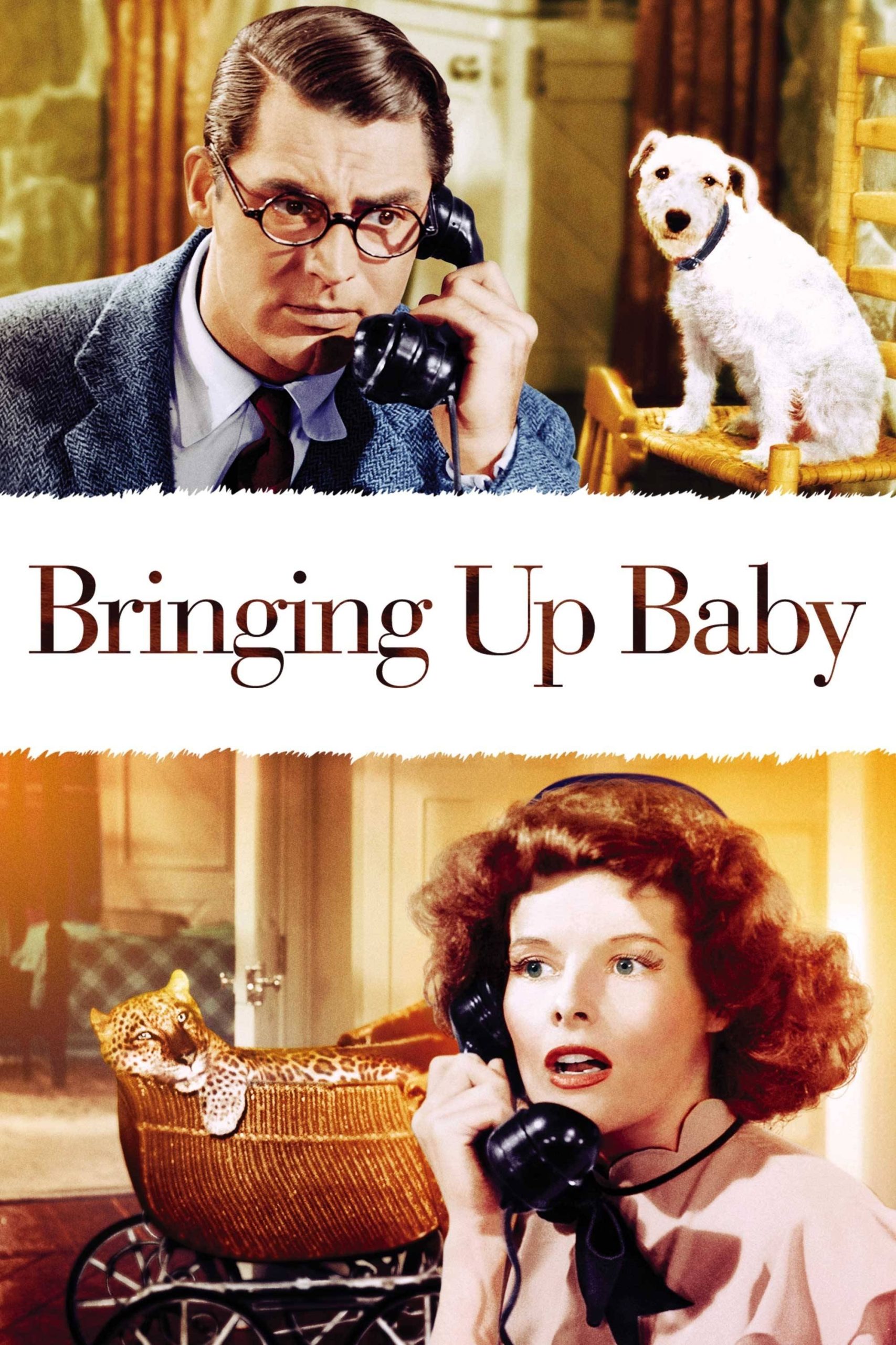 Bringing Up Baby.jpg